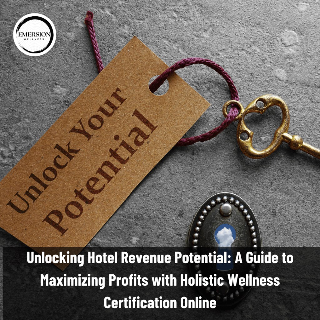 Holistic Wellness Certification Online